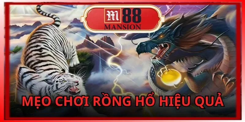 Mẹo chơi rồng hổ 